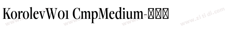 KorolevW01 CmpMedium字体转换